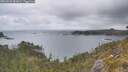 ./images/calvert/foggy-cove/20260523/foggy-cove20260523_081001M.jpg