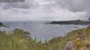 ./images/calvert/foggy-cove/20260523/foggy-cove20260523_083001M.jpg