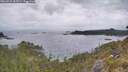 ./images/calvert/foggy-cove/20260523/foggy-cove20260523_083501M.jpg