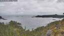 ./images/calvert/foggy-cove/20260523/foggy-cove20260523_084001M.jpg
