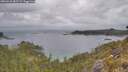 ./images/calvert/foggy-cove/20260523/foggy-cove20260523_085502M.jpg