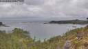./images/calvert/foggy-cove/20260523/foggy-cove20260523_090001M.jpg
