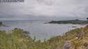 ./images/calvert/foggy-cove/20260523/foggy-cove20260523_091001M.jpg