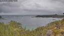 ./images/calvert/foggy-cove/20260523/foggy-cove20260523_091501M.jpg