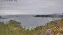 ./images/calvert/foggy-cove/20260523/foggy-cove20260523_093501M.jpg