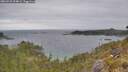 ./images/calvert/foggy-cove/20260523/foggy-cove20260523_094001M.jpg