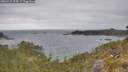 ./images/calvert/foggy-cove/20260523/foggy-cove20260523_094501M.jpg