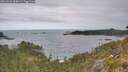 ./images/calvert/foggy-cove/20260523/foggy-cove20260523_100501M.jpg