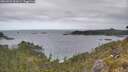 ./images/calvert/foggy-cove/20260523/foggy-cove20260523_101001M.jpg