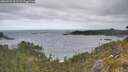 ./images/calvert/foggy-cove/20260523/foggy-cove20260523_101501M.jpg