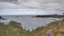./images/calvert/foggy-cove/20260523/foggy-cove20260523_102002M.jpg