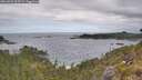 ./images/calvert/foggy-cove/20260523/foggy-cove20260523_103501M.jpg