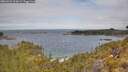 ./images/calvert/foggy-cove/20260523/foggy-cove20260523_110001M.jpg