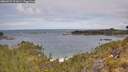 ./images/calvert/foggy-cove/20260523/foggy-cove20260523_111001M.jpg