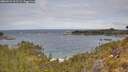 ./images/calvert/foggy-cove/20260523/foggy-cove20260523_111501M.jpg