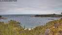 ./images/calvert/foggy-cove/20260523/foggy-cove20260523_112001M.jpg
