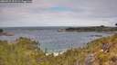 ./images/calvert/foggy-cove/20260523/foggy-cove20260523_112502M.jpg