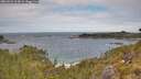 ./images/calvert/foggy-cove/20260523/foggy-cove20260523_113002M.jpg