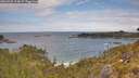 ./images/calvert/foggy-cove/20260523/foggy-cove20260523_114001M.jpg