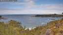./images/calvert/foggy-cove/20260523/foggy-cove20260523_114501M.jpg