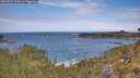 ./images/calvert/foggy-cove/20260523/foggy-cove20260523_115002M.jpg