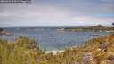 ./images/calvert/foggy-cove/20260523/foggy-cove20260523_120001M.jpg