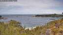 ./images/calvert/foggy-cove/20260523/foggy-cove20260523_120501M.jpg