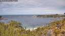 ./images/calvert/foggy-cove/20260523/foggy-cove20260523_121001M.jpg