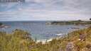 ./images/calvert/foggy-cove/20260523/foggy-cove20260523_121501M.jpg