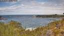 ./images/calvert/foggy-cove/20260523/foggy-cove20260523_122001M.jpg