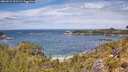 ./images/calvert/foggy-cove/20260523/foggy-cove20260523_122501M.jpg