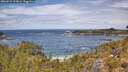 ./images/calvert/foggy-cove/20260523/foggy-cove20260523_123001M.jpg