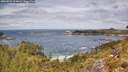 ./images/calvert/foggy-cove/20260523/foggy-cove20260523_124001M.jpg