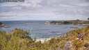 ./images/calvert/foggy-cove/20260523/foggy-cove20260523_124501M.jpg