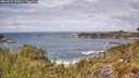 ./images/calvert/foggy-cove/20260523/foggy-cove20260523_125001M.jpg