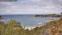 ./images/calvert/foggy-cove/20260523/foggy-cove20260523_125502M.jpg