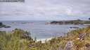 ./images/calvert/foggy-cove/20260523/foggy-cove20260523_132001M.jpg