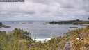 ./images/calvert/foggy-cove/20260523/foggy-cove20260523_133002M.jpg