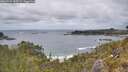 ./images/calvert/foggy-cove/20260523/foggy-cove20260523_133502M.jpg