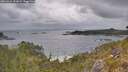 ./images/calvert/foggy-cove/20260523/foggy-cove20260523_151001M.jpg