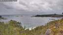 ./images/calvert/foggy-cove/20260523/foggy-cove20260523_151501M.jpg