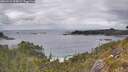 ./images/calvert/foggy-cove/20260523/foggy-cove20260523_160002M.jpg