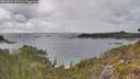 ./images/calvert/foggy-cove/20260523/foggy-cove20260523_163502M.jpg
