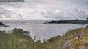 ./images/calvert/foggy-cove/20260523/foggy-cove20260523_175501M.jpg