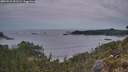 ./images/calvert/foggy-cove/20260524/foggy-cove20260524_051501M.jpg