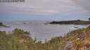 ./images/calvert/foggy-cove/20260524/foggy-cove20260524_053501M.jpg