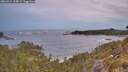 ./images/calvert/foggy-cove/20260524/foggy-cove20260524_054002M.jpg