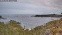 ./images/calvert/foggy-cove/20260524/foggy-cove20260524_054501M.jpg