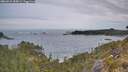 ./images/calvert/foggy-cove/20260524/foggy-cove20260524_055001M.jpg