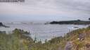 ./images/calvert/foggy-cove/20260524/foggy-cove20260524_060501M.jpg